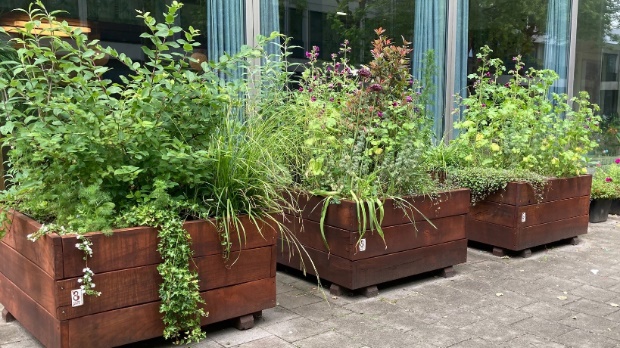 20220530_rijswijkstraat_24_3_moestuinbakken